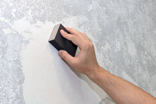 Trusted Avon, CO Mold Removal Experts