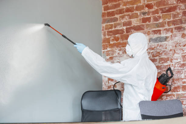  Avon, CO Mold Removal Pros